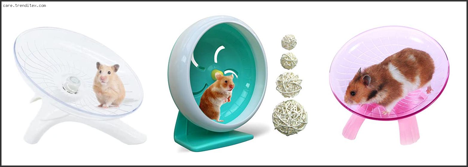 Best Wheel For Mice