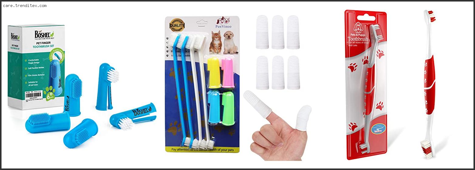 Best Toothbrush For Dogs