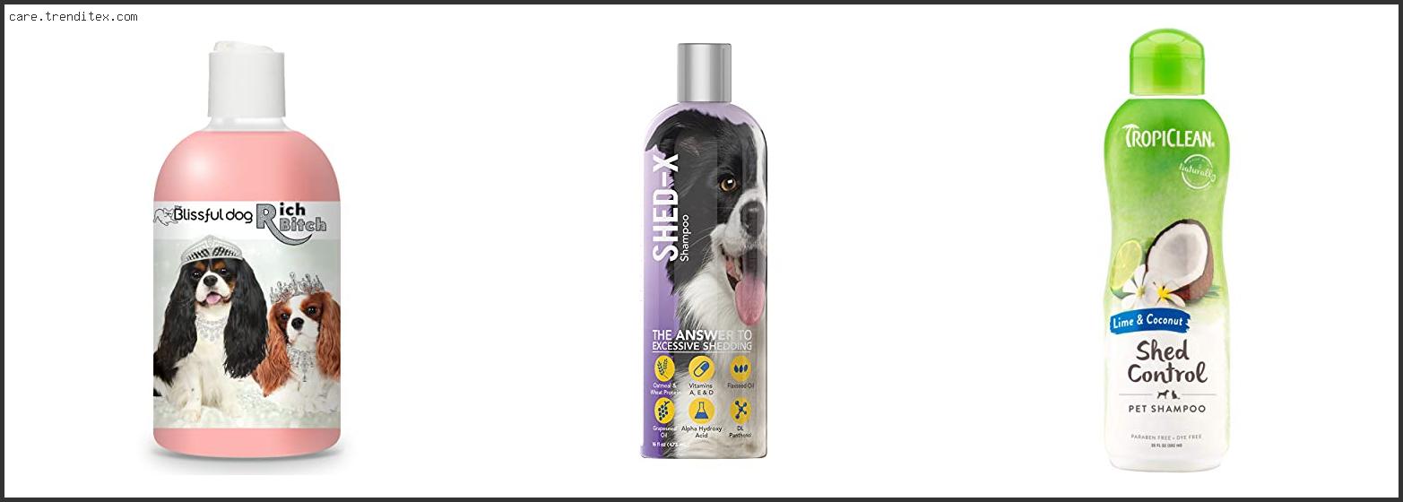 Best Dog Shampoo For Cavaliers