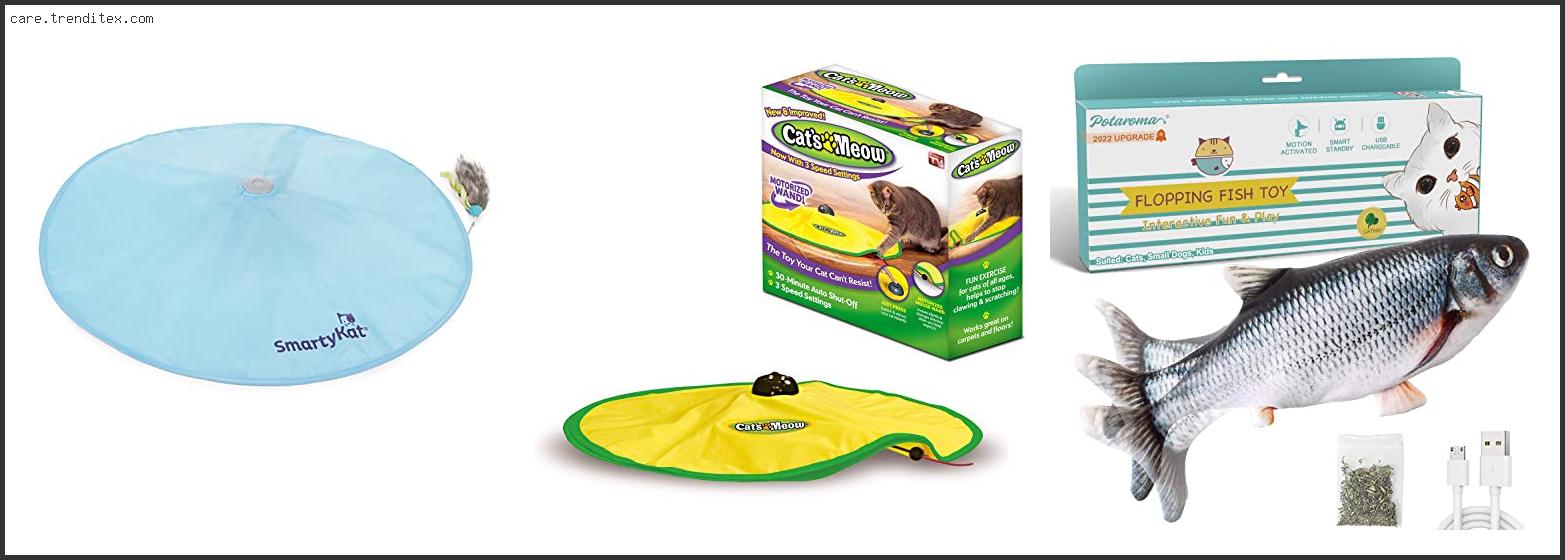 Best Motorized Cat Toys