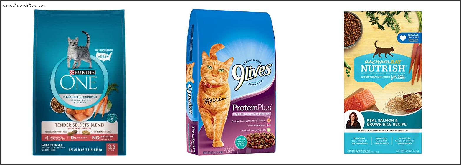 Best Tasting Dry Cat Food