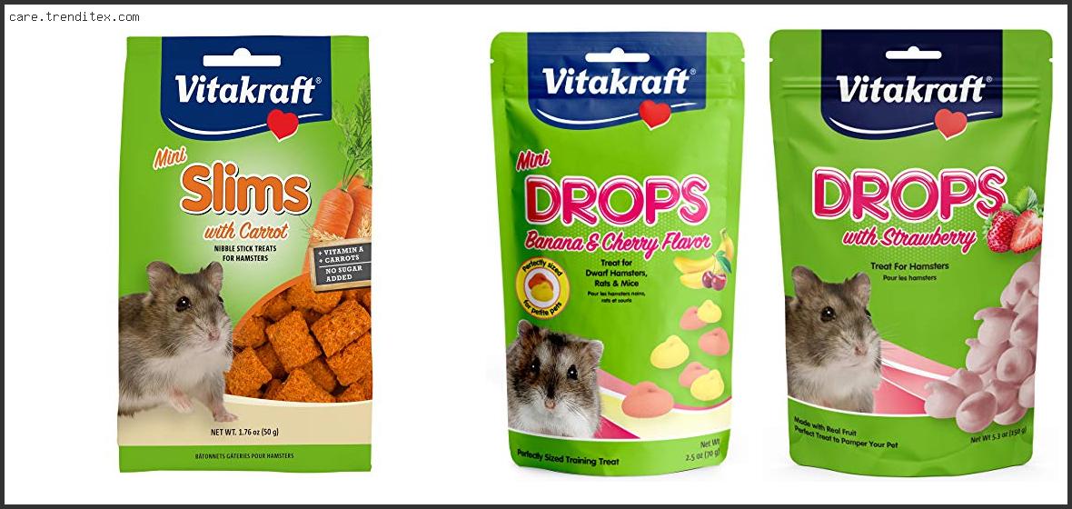 Best Treats For Dwarf Hamsters