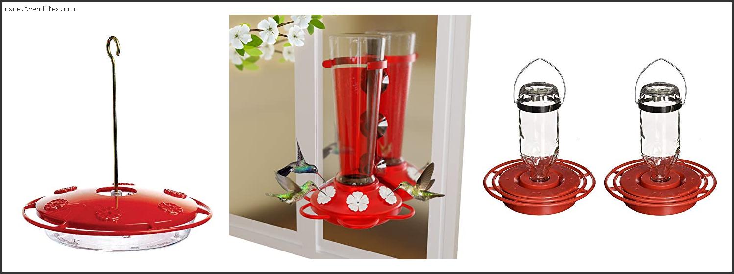 Best 1 Hummingbird Feeder Poteet Texas