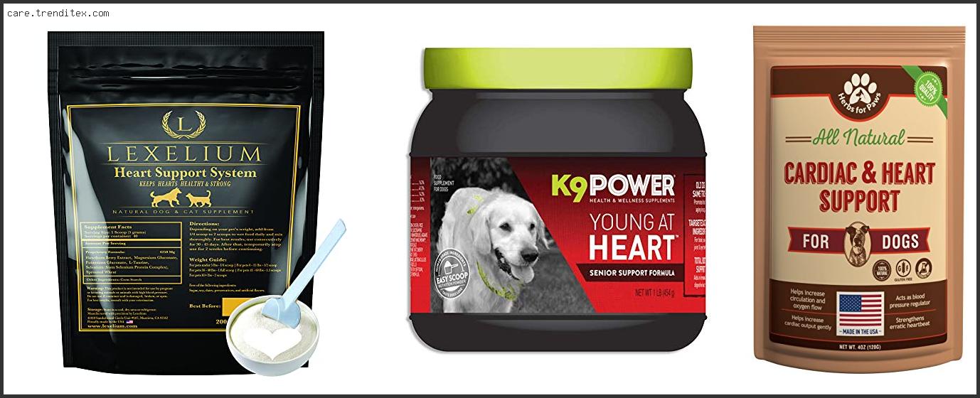 Best Supplements For Dogs With Heart Disease