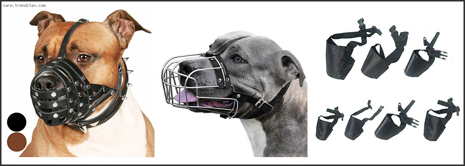 Best Anti Bite Dog Muzzle