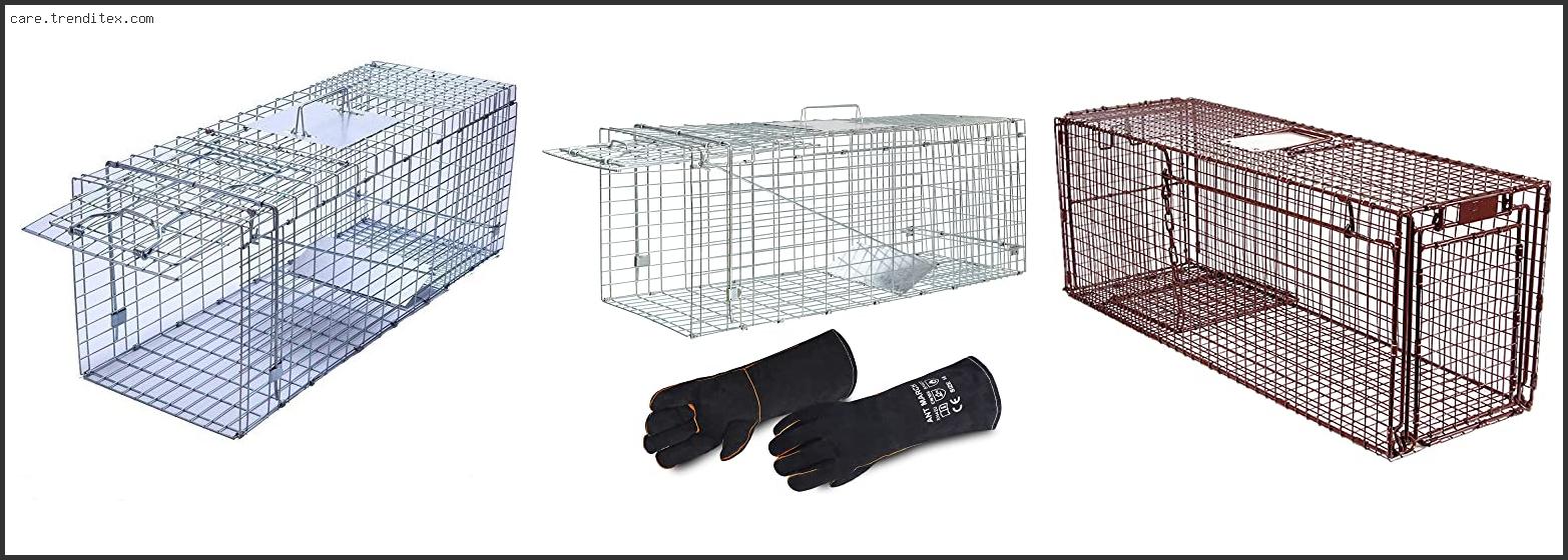 Best Humane Cat Traps