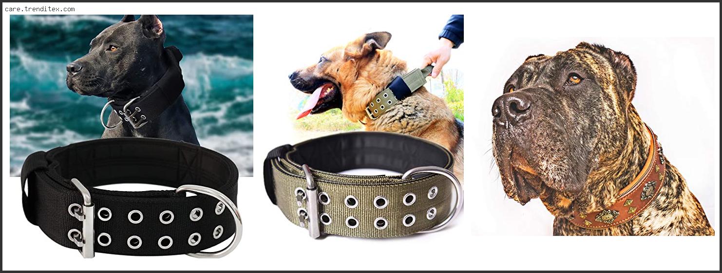 Best Dog Collar For Rottweiler