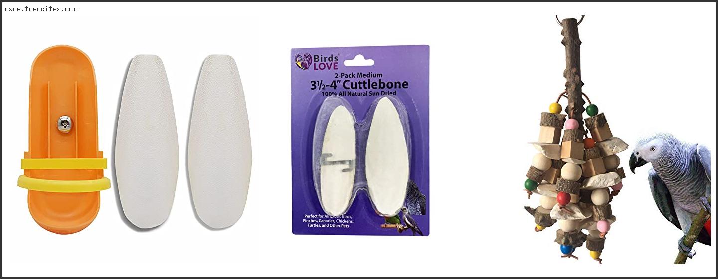 Best Cuttlebone For Birds