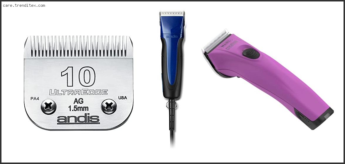 Best Dog Grooming Clipper Blades