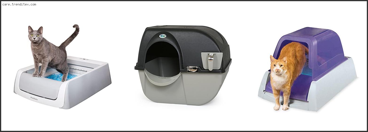 Best Self Cleaning Multi Cat Litter Box