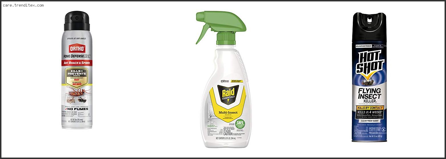 Best Flying Insect Killer Spray