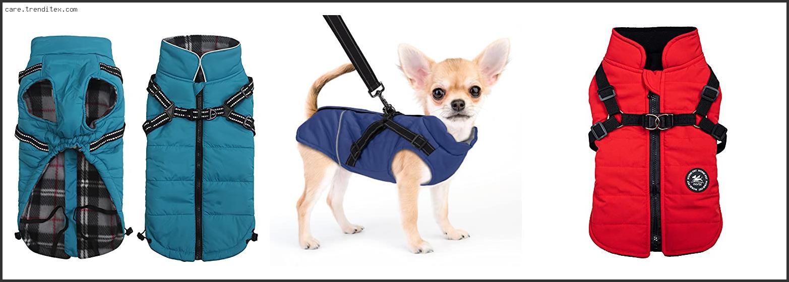 Best Dog Jacket With Built-in Harness