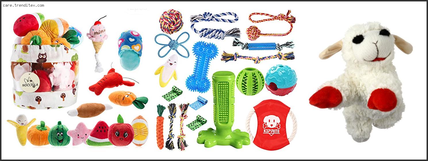 Best Toys For Small Dogs