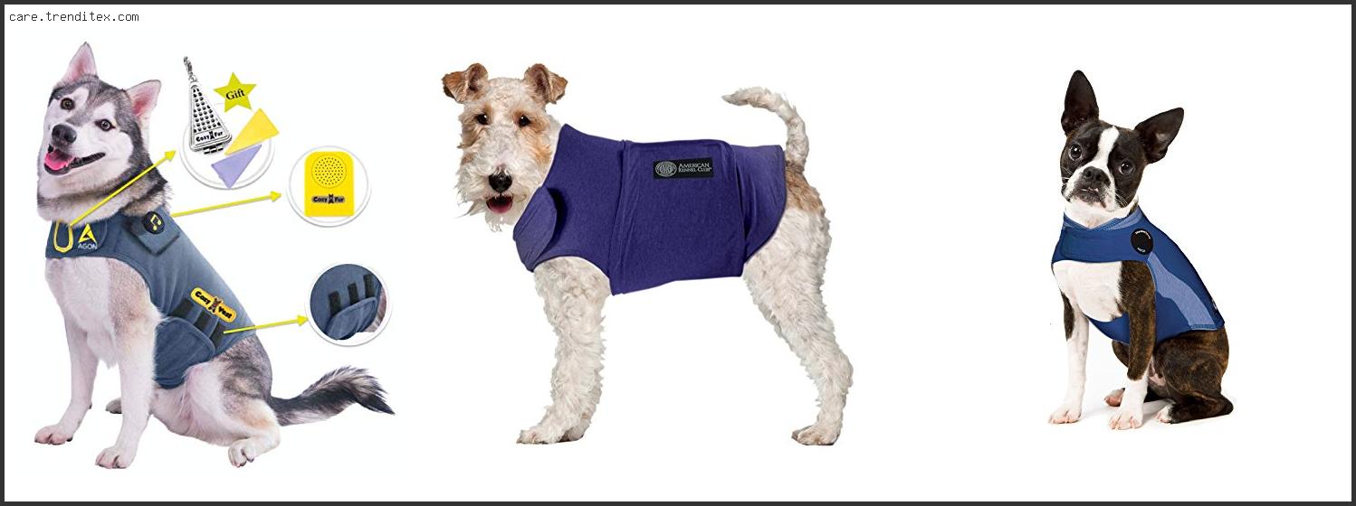 Best Anxiety Jackets For Dogs