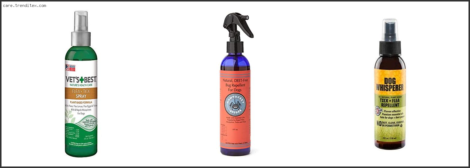 Best Dog Tick Repellent Spray