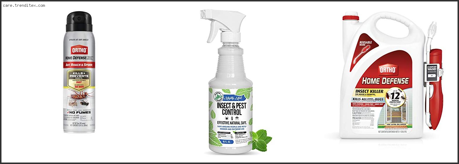 Best Insect Spray