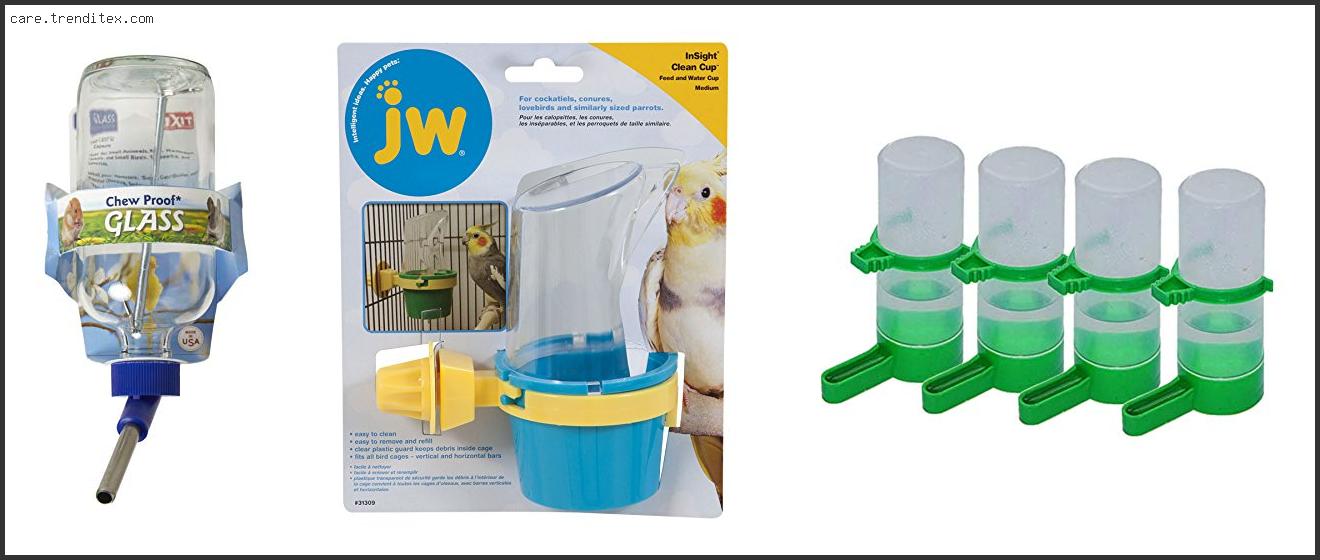 Top 10 Best Bird Water Dispenser With Buying Guide Best Bird Water Dispenser