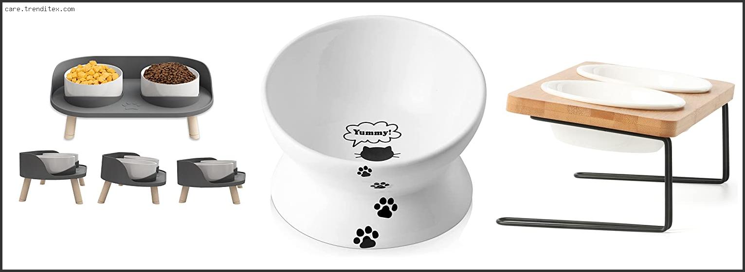 Best Elevated Cat Bowls