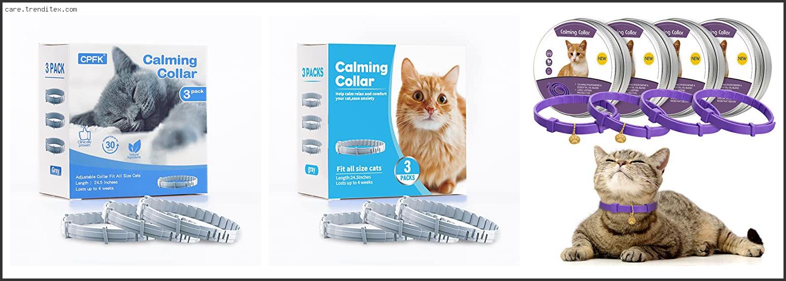 Best Cat Calming Collar