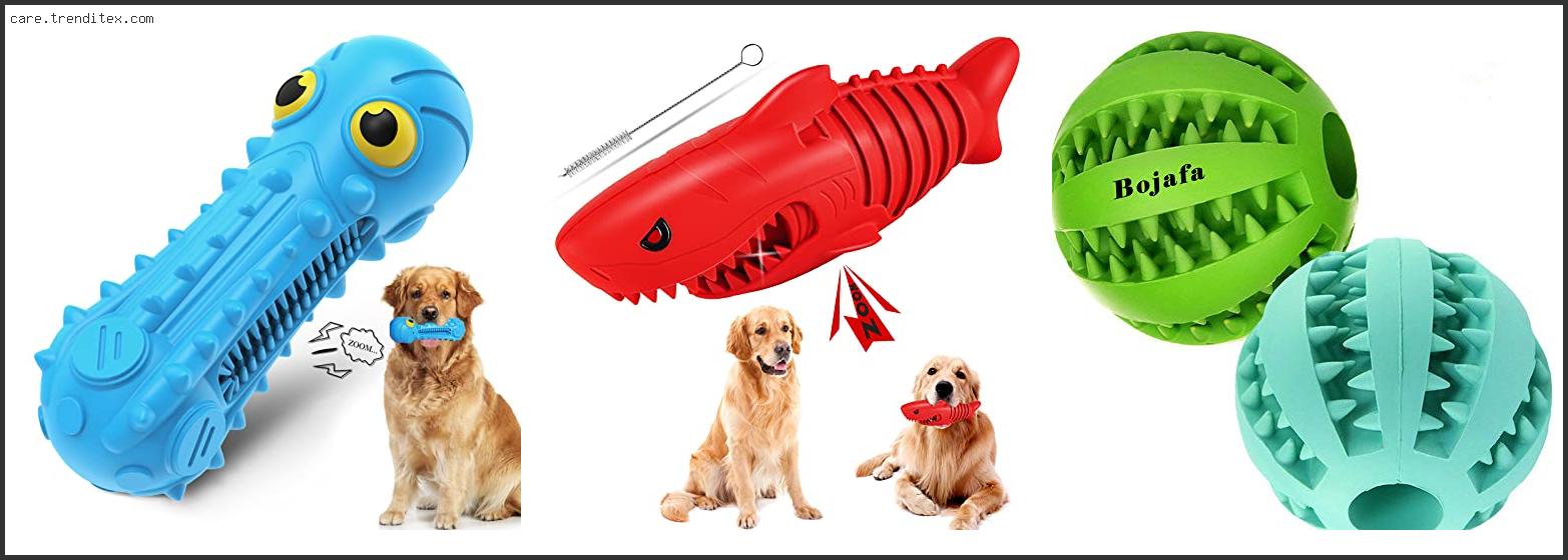 Best Dog Toys For Teeth Cleaning