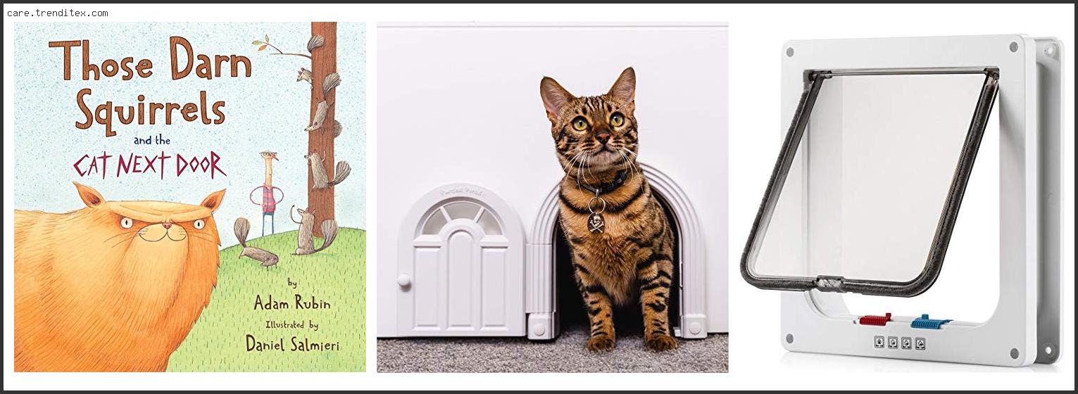 Best Cat Doors For Doors