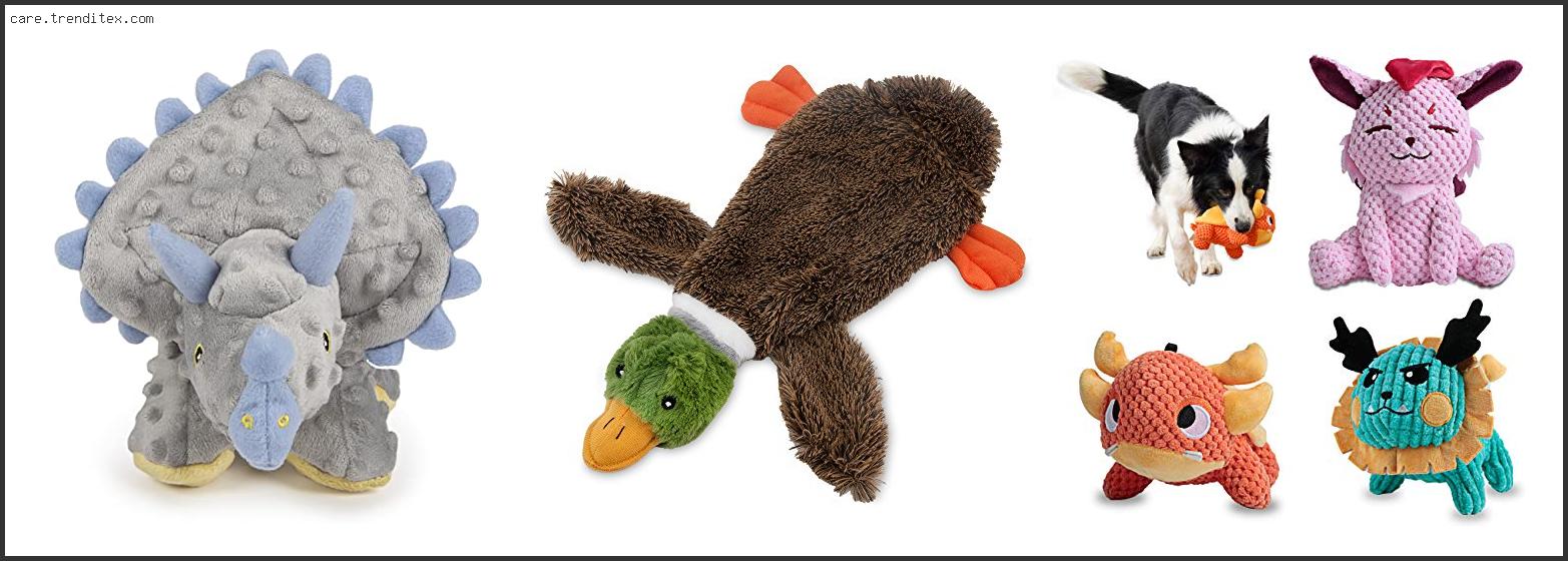 Best Plush Dog Toys For Chewers