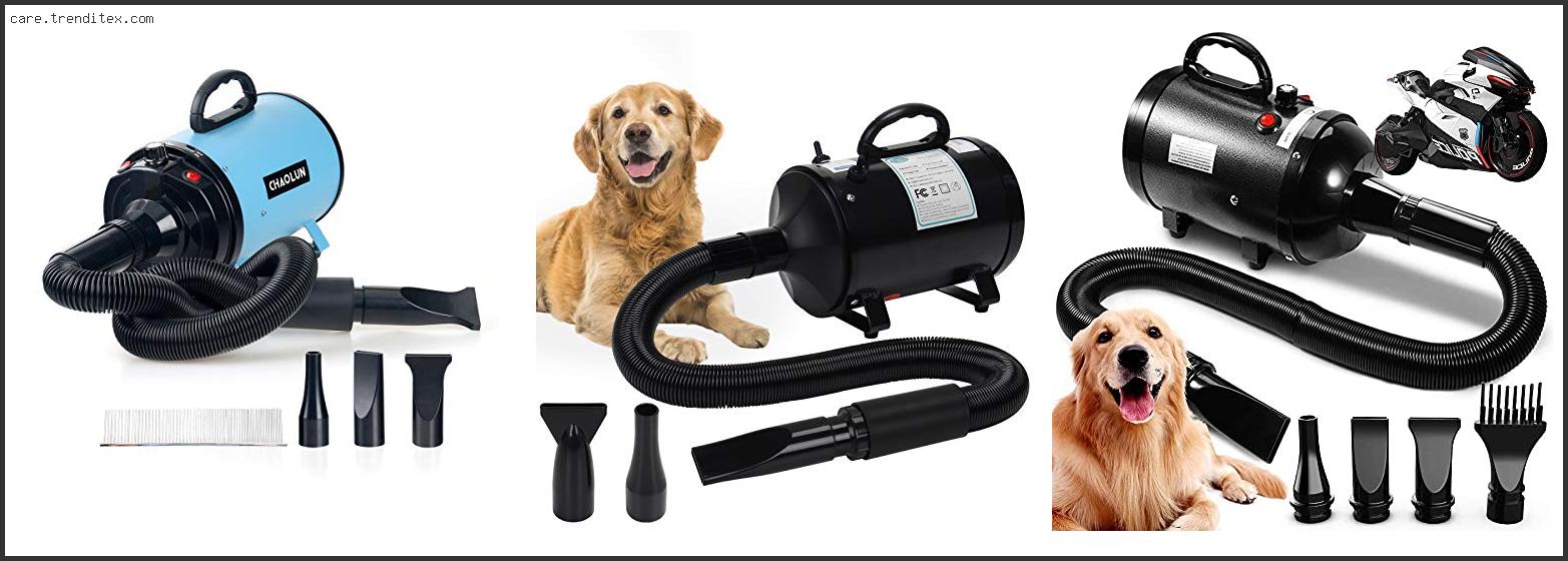 Best High Velocity Dog Grooming Dryer