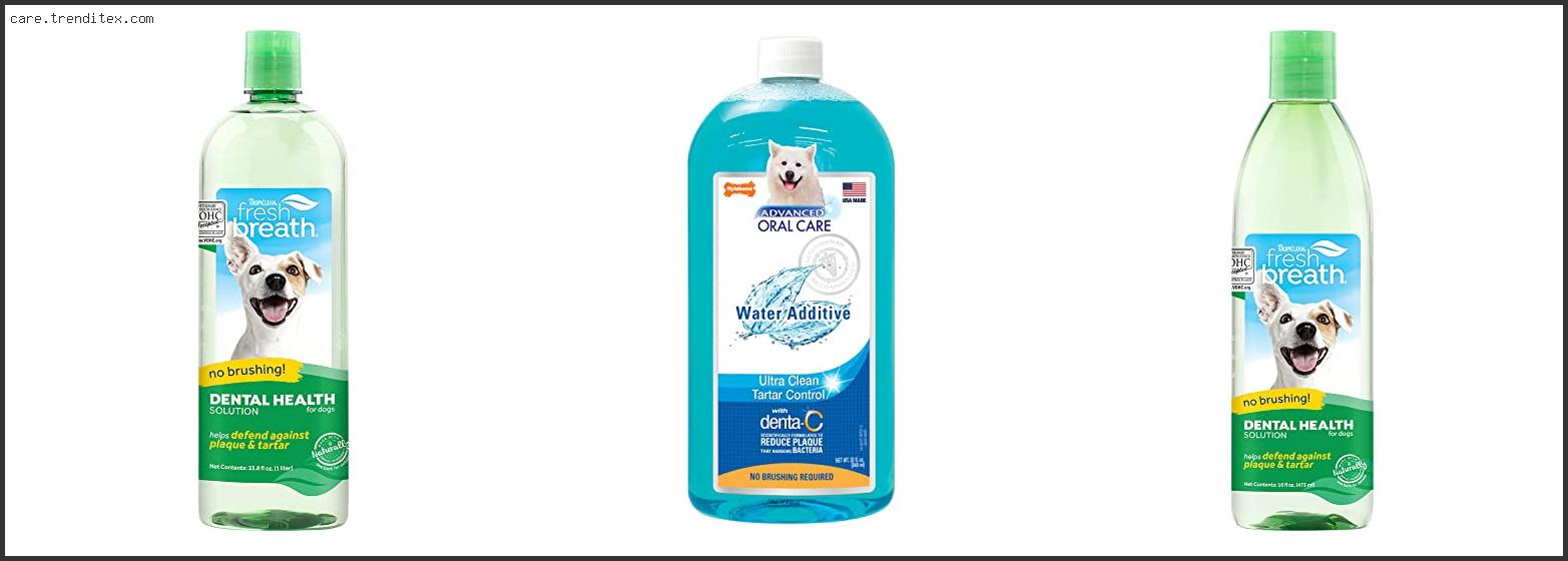 Best Water Additive For Dog Tartar