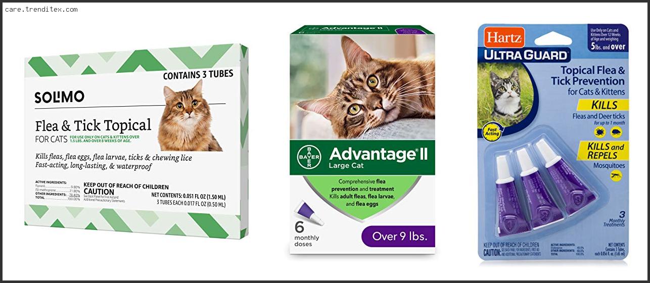 Best Flea Treatment For Cats And Kittens