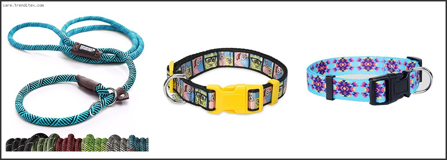 Best Friend Dog Collar