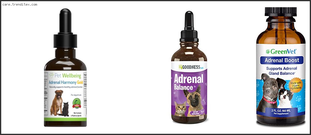 Best Adrenal Support For Dogs