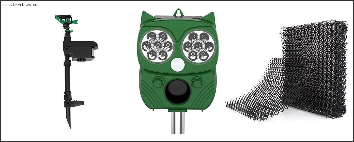 Top 10 Best Motion Activated Sprinkler For Cats With Buying Guide Best Motion Activated Sprinkler For Cats