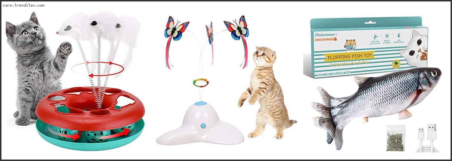 Best Toys For Active Cats