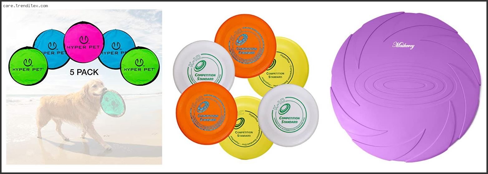 Best Color Frisbee For Dogs