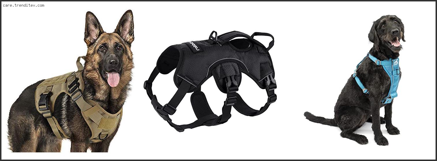 Best No Pull Dog Harness For Boxers