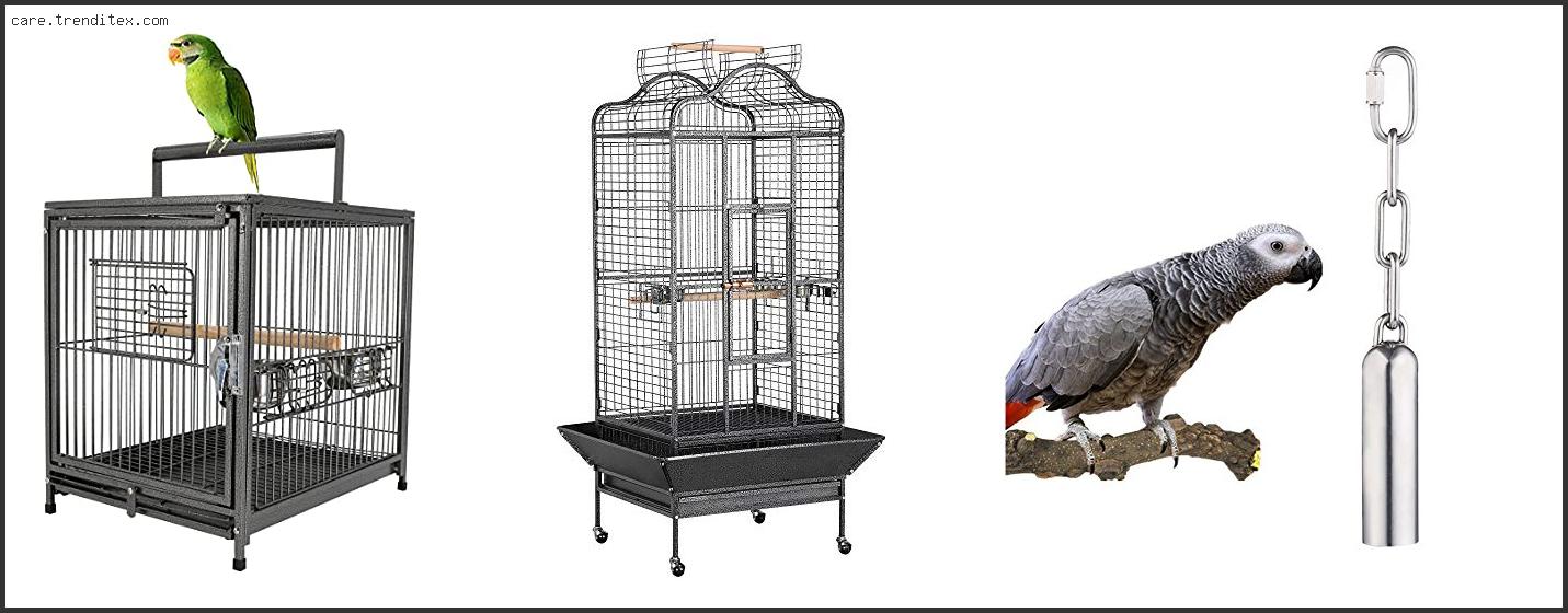 Best Travel Cage For African Grey