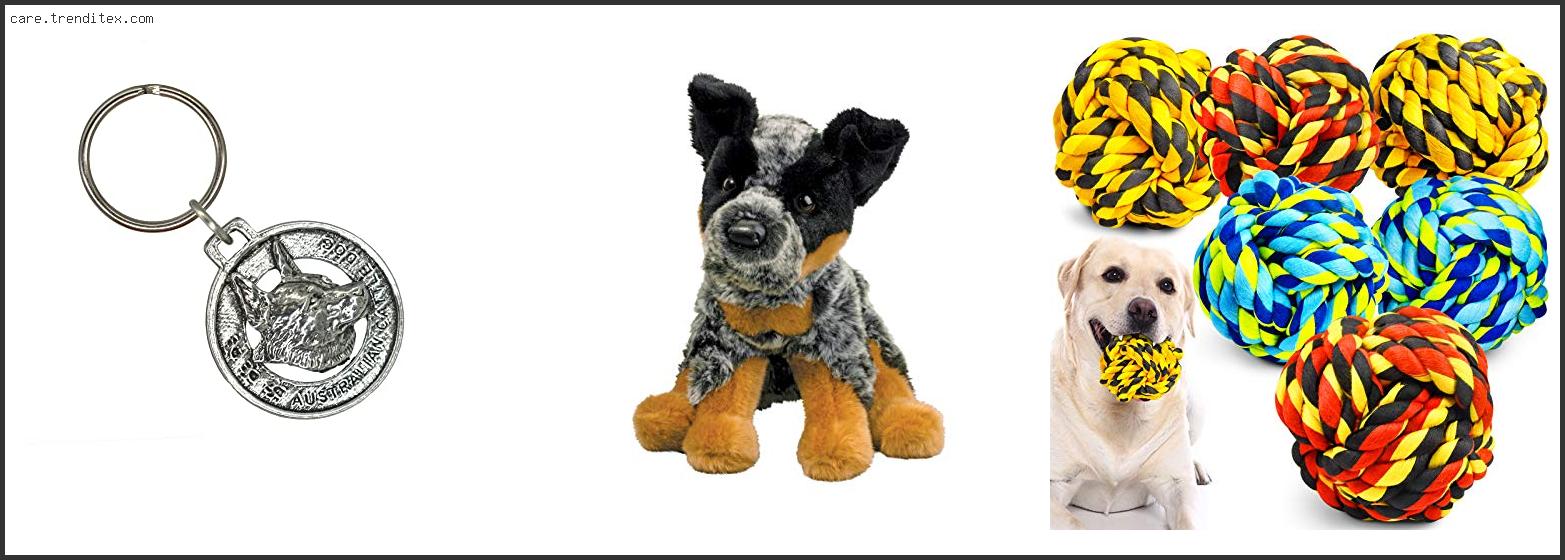 Best Australian Cattle Dog Toys