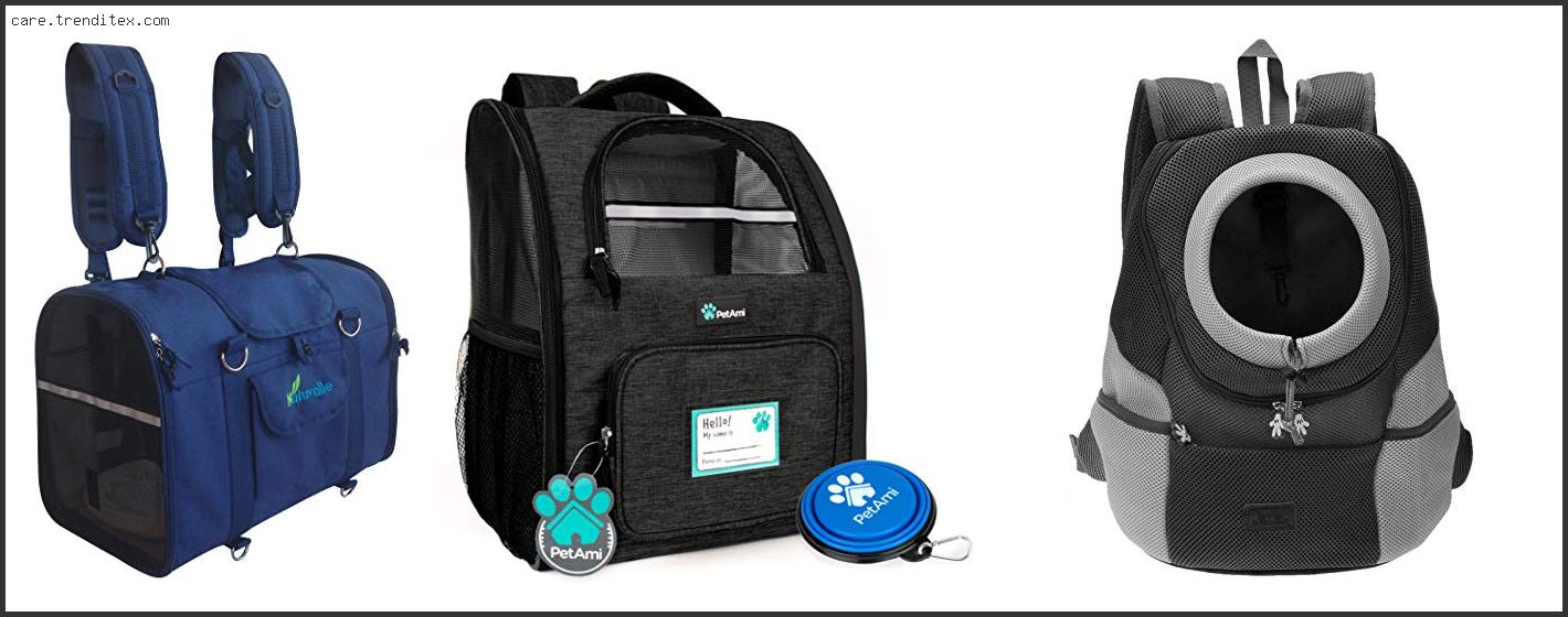 Best Dog Carrier Backpack For Dachshund