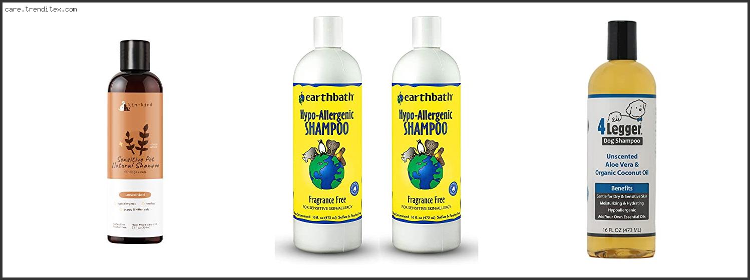 Top 10 Best Unscented Dog Shampoo Reviews With Scores - My TrendiTex