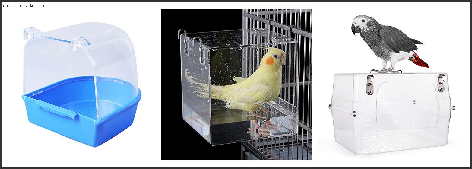 Top 10 Best Bird Bath For Cockatiels – To Buy Online Best Bird Bath For Cockatiels