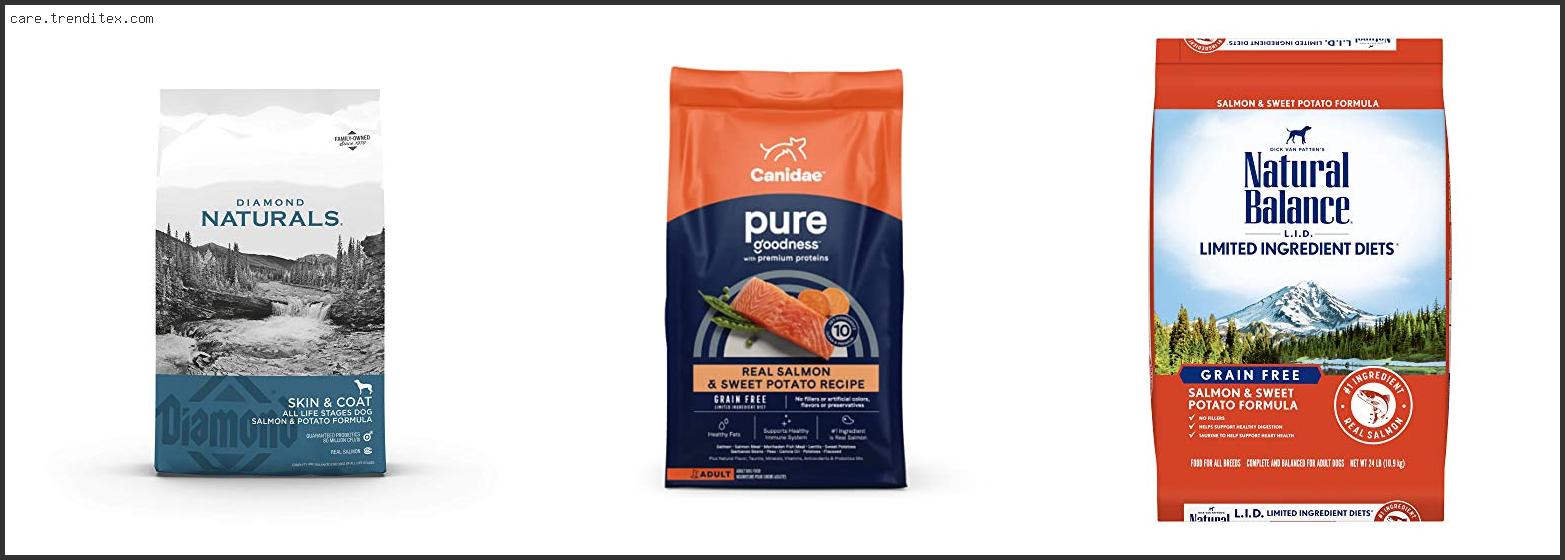 Best Grain Free Salmon Dog Food