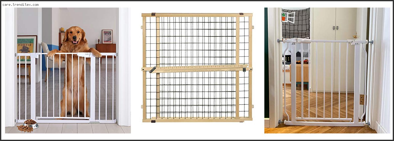 Best Dog Gates For Doorways