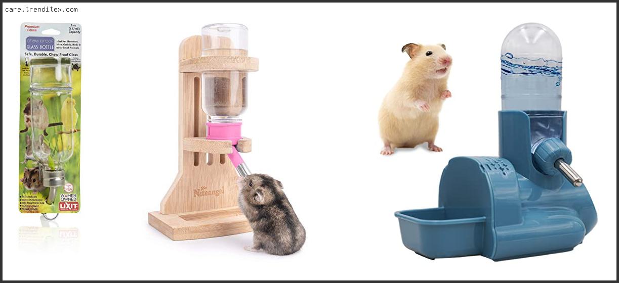 Top 10 Best Hamster Water Bottle For Aquarium With Buying Guide Best Hamster Water Bottle For Aquarium