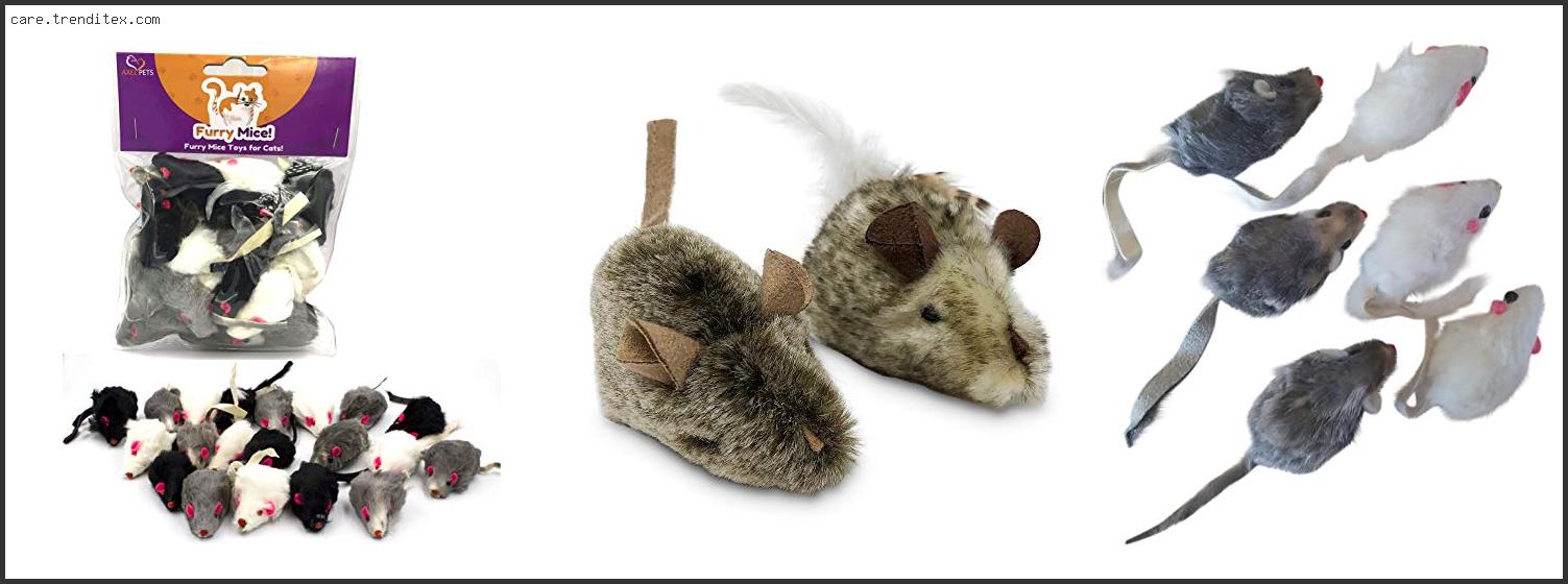 Best Mouse Toys For Cats