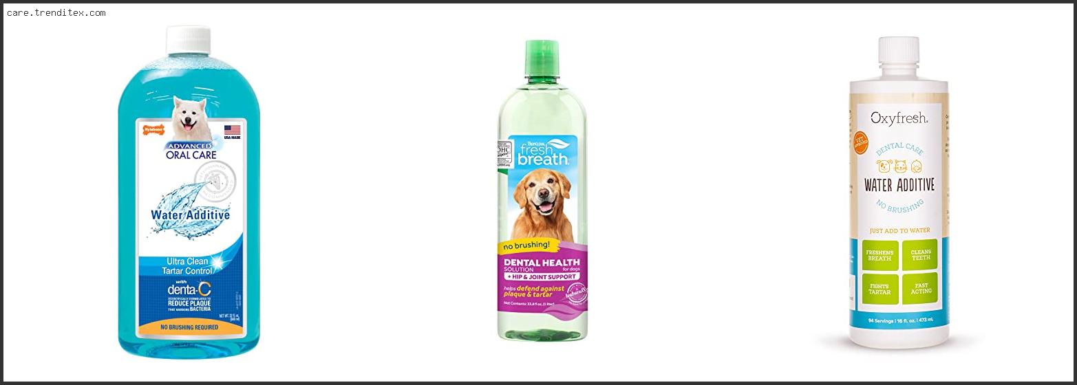 Best Water Additive For Dog Breath