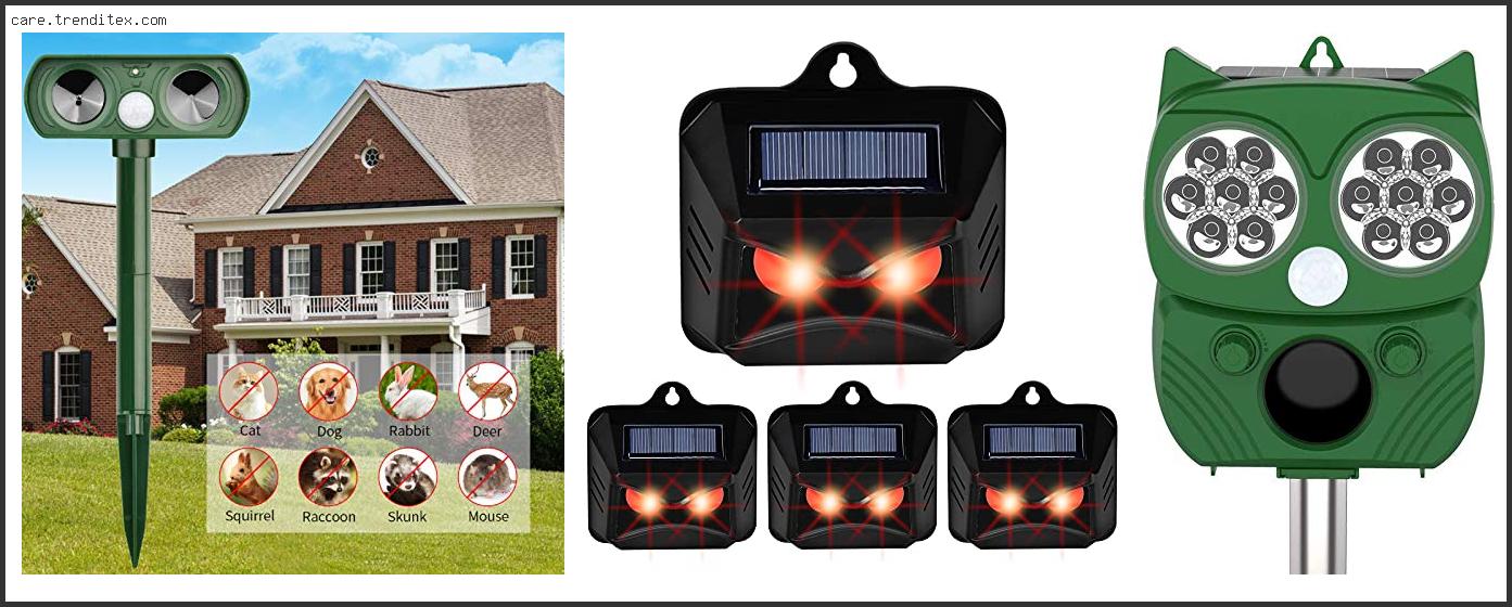 Best Solar Powered Animal Repeller