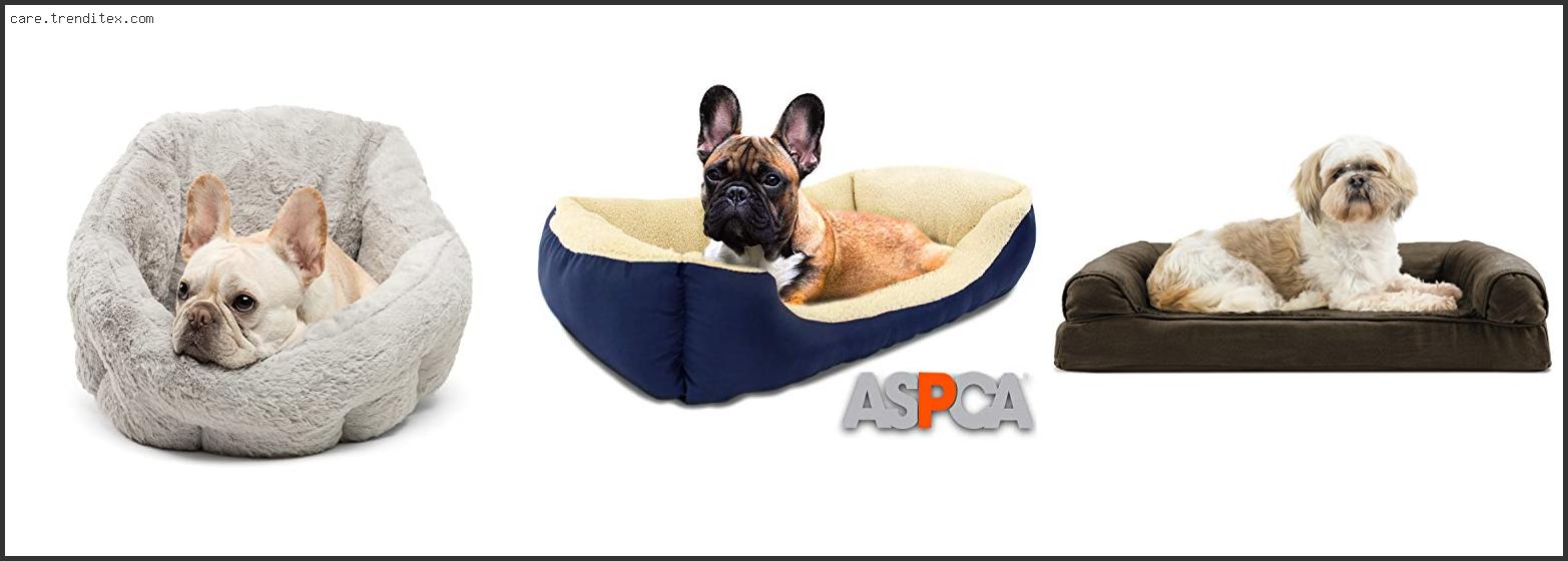 Best Dog Bed French Bulldog