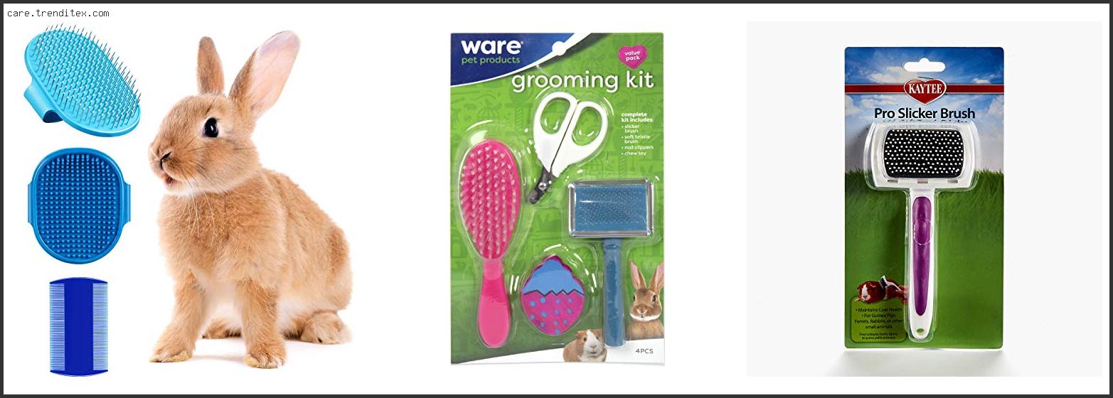 Best Brush For Rabbits