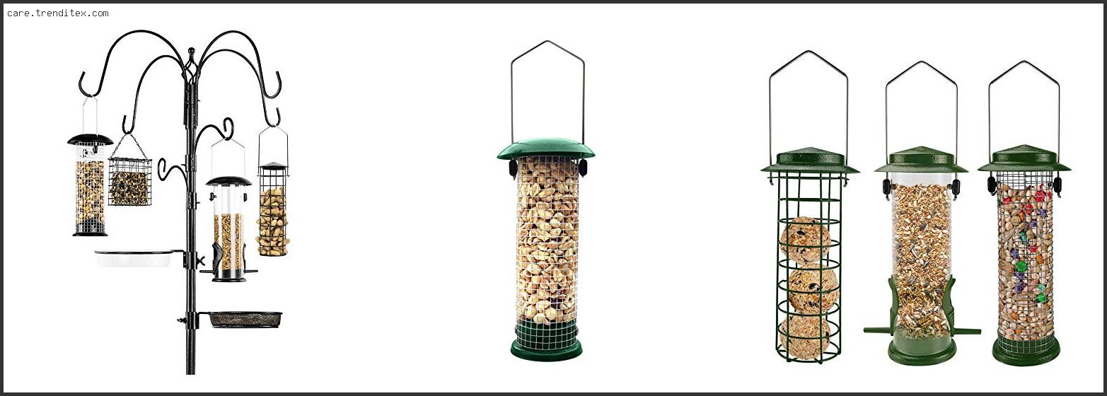 Best Bird Feeder For Peanuts