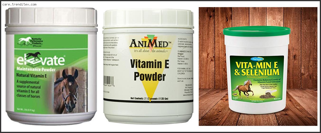 Best Vitamin Supplements For Horses